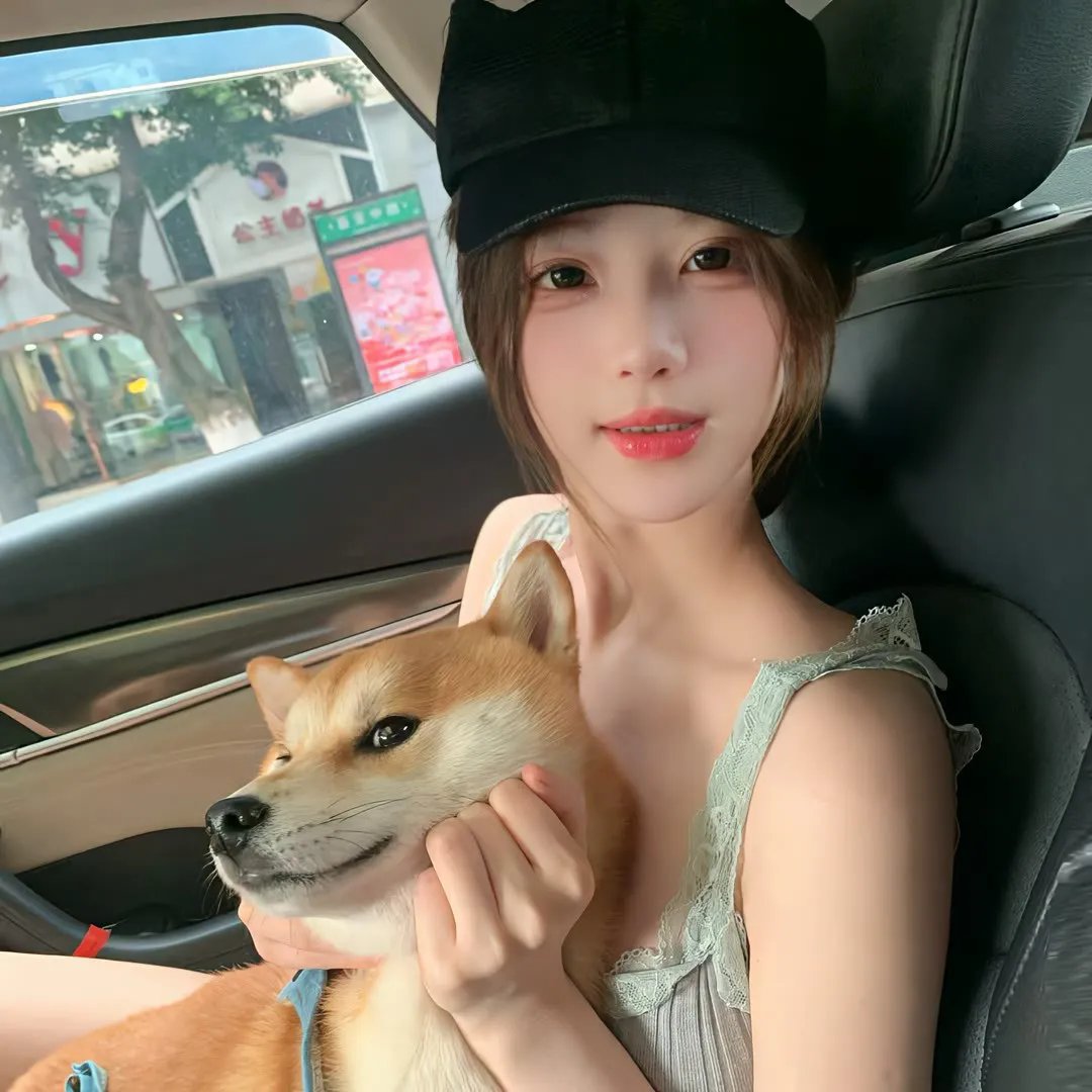 范黛的小室 海报